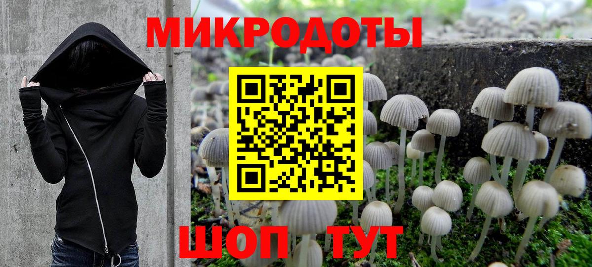 купить  сайты  Псилоцибиновые грибы мицелий  Вход с VPN  Наро-Фоминск  Псилоцибиновые грибы Psilocybe 
